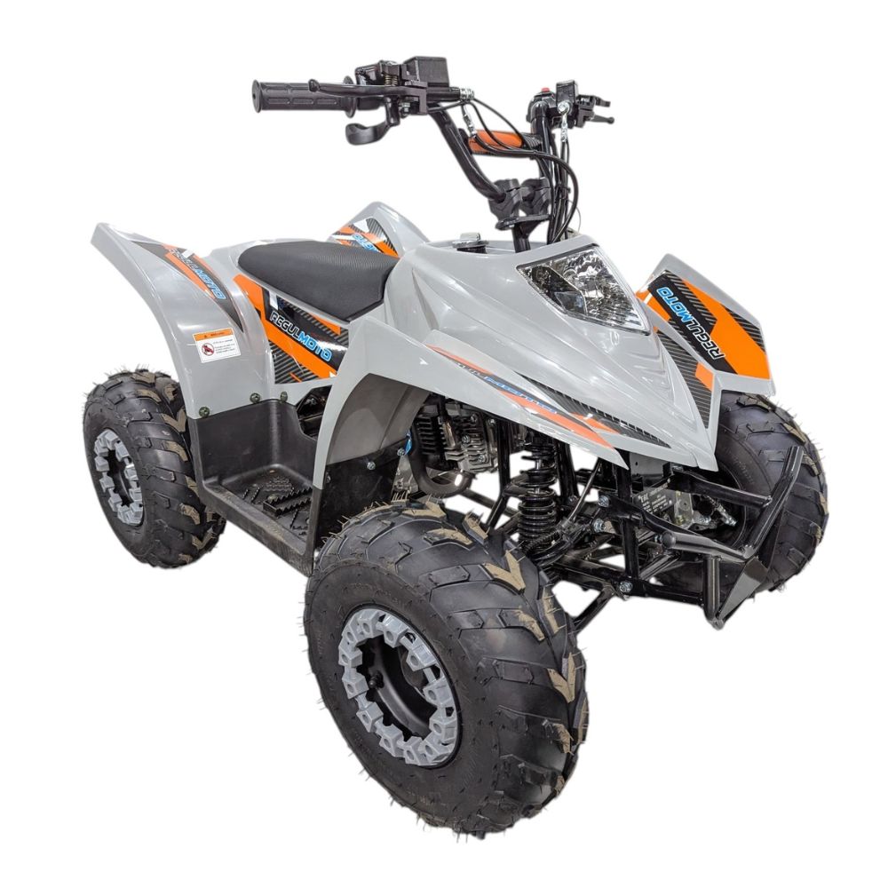Квадроцикл Regulmoto SK11 110сс